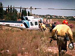 Las elevadas temperaturas registradas ayer provocaron un incendio en la partida del Molló de la Creu en el término municipal de Gandia.