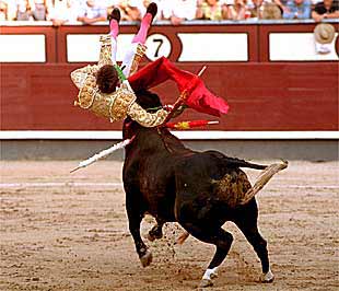   Impresionante cogida de El Juli en Las Ventas   