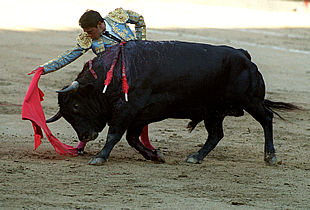 Eulalio López, Zotoluco , en el primer toro de su lote.