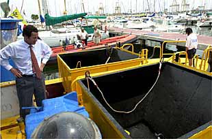 El consejero Fernando Modrego, ayer junto a dos de los  pelícanos  en el Club Náutico de Valencia.
