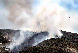 La zona incendiada, ayer, junto al parque natural de la Font Roja.