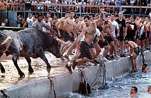Varios jóvenes intentan evitar la embestida de un toro, ayer, en la fiesta de   bous a la mar   en Dénia.