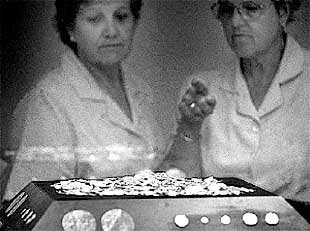 Los dinares y fragmentos de dinares que se exponen en La Beneficència.