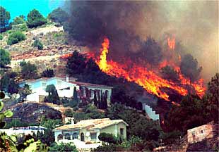 Las llamas amenazaban ayer varias viviendas en la sierra de Mijas (Málaga).