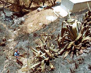 Una vecina de Mijas observa los daños que el fuego causó en su vivienda.