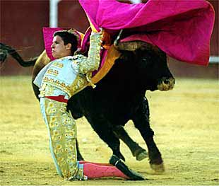 El Juli en un emotivo quite por faroles al sexto toro, para el que se pidió el indulto.