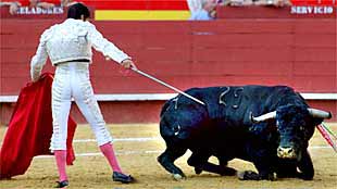 Rafael de Julia pincha para que se levante al tercer toro, que se había desplomado durante la faena de la muleta.