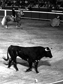 Representación de    Carmen  en Tarragona.