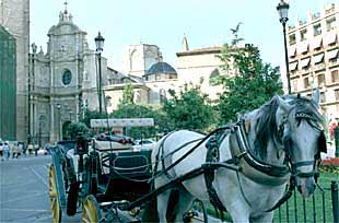 Una de las calesas que realizan recorridos turísticos por el centro histórico de la ciudad de Valencia.