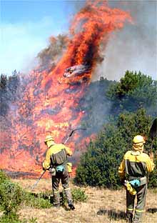 Tareas de extinción en el incendio declarado en Huesca.