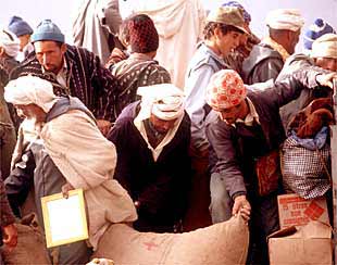 Un grupo de rifeños, ataviados con la tradicional chilaba, en un mercado del norte de Marruecos.