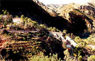 El estiércol es oro