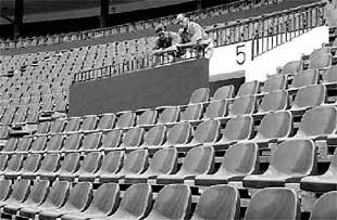 NUEVOS ASIENTOS EN VISTA ALEGRE.