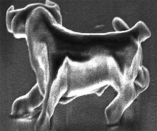 Científicos japoneses tallan con láser una escultura del tamaño de una célula