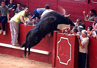 El tercer encierro de las fiestas de Leganés dejó un saldo de 14 heridos.