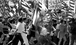 Final de la liga de rugby en París. El Perpignan perdió, pero lo celebraron igual.