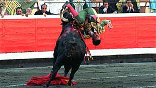 Un momento de la escalofriante cogida que sufrió Dávila Miura.