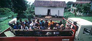 Trabajadores del cacao acuden a las plantaciones en el interior de Guinea Ecuatorial.