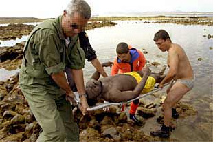 Nueve inmigrantes se ahogan tras ser arrojados por la borda de una patera