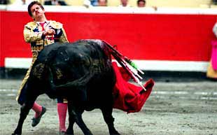 El Juli, junto al toro que acababa de partirle el labio y ante el que no se amilanó terminando la faena cortando dos orejas.