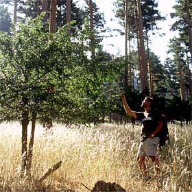 La muerte les sienta bien