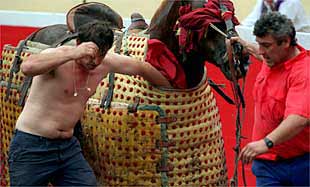Un    monosabio  tapona la cornada que el quinto toro le pegó al caballo de picar.