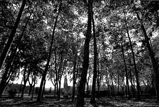 El escenario de toda una vida