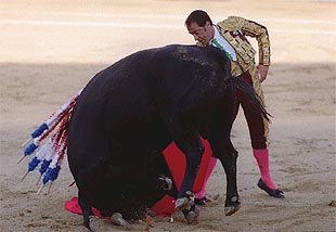 Luis Francisco Esplá, durante la faena de muleta a su primer toro.