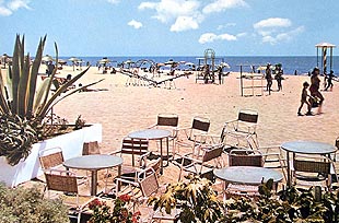 Paseo interminable de alga y sal