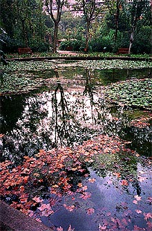 Trances de zona verde