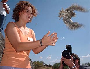 De vuelta a la libertad