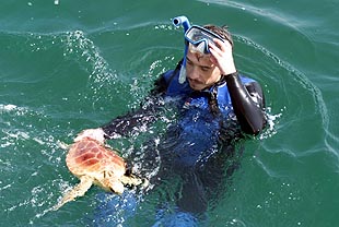Suelta y rescate de tortugas bobas en Huelva