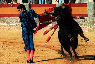 José Tomás, durante la faena a su primer toro, al que cortó dos orejas.