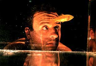  La pecera , de los madrileños Sintalento Teatro.