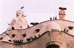 La azotea y la fachada de la Casa Milà, ayer, con las figuras de la exposición  Los pájaros visitan La Pedrera .