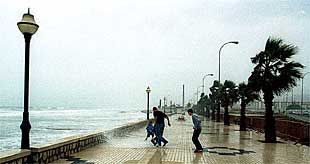 Vendaval en Málaga.