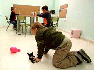 Alumnos del centro Ángel Rivière de Sevilla, durante una de sus clases.