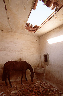 Sarasola dice que negociará su derecho sobre las apuestas para sacar del abandono al hipódromo