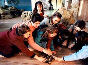 Niños en el taller  ¡Toca, toca! , en el Museo de la Ciencia CosmoCaixa de Alcobendas.