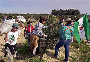 El SOC 'expropia' una cosecha