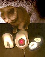 Ratones ópticos y sin cable