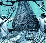 El Diccionario por antonomasia