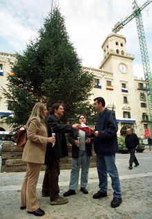Contra la tala de abetos navideños
