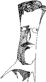 La caída del héroe latino