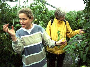 Lola Gómez muestra el invernadero a turistas extranjeros.