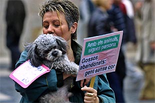 Concentración en Barcelona, el pasado noviembre, en contra del maltrato a animales.