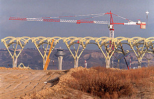 LOS PILARES DEL GRAN BARAJAS.