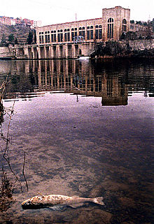 El Ebro, a su paso por Flix, el sábado, con la central de Endesa al fondo.