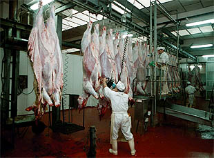 Un operario trabaja en la sala de despiece del matadero de Ourense.