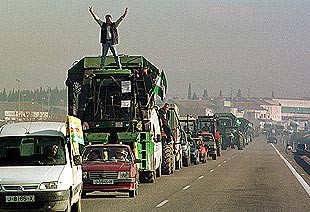 Cientos de vehículos participaron ayer en la movilización que convocó la organización agraria COAG en Andújar para protestar contra la normativa del Ministerio de Agricultura sobre el cultivo de algodón.